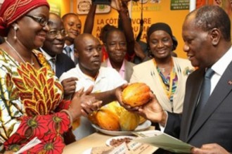 Côte dÂ’Ivoire : Filière café-cacao, 56 milliards de FCFA prélevés aux paysans pour la  collecte des redevances 